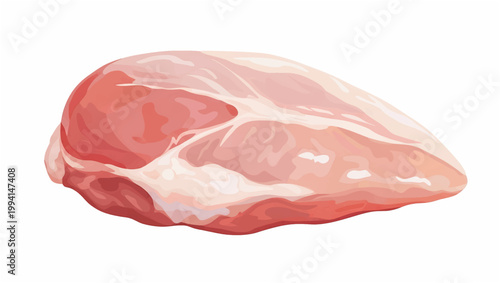 Raw Chicken Breast Meat on White Background.