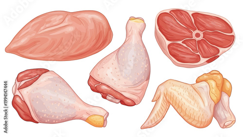 Raw Chicken Cuts and Meat Pieces 1.