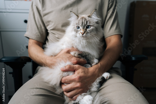Photos Cropped shot of male owner gently holding beautiful fluffy domestic neva masquerade cat providing comfort, displaying affection, enjoying peaceful companionship during a moment of relaxation