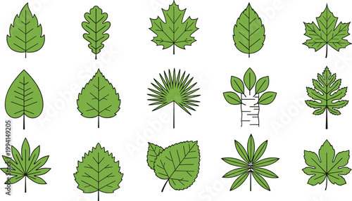 Illustrated Leaf Collection Vector Set for Botanical Designs