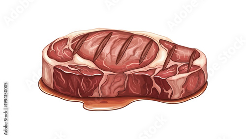 Raw Ribeye Steak Meat Cut Illustration.