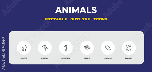 outline animals icons set - coyote, pelican, seahorse. editable vector for web and mobile ui