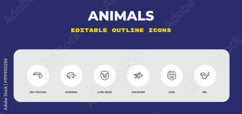 outline animals icons set - big toucan, echidna, lion head. editable vector for web and mobile ui