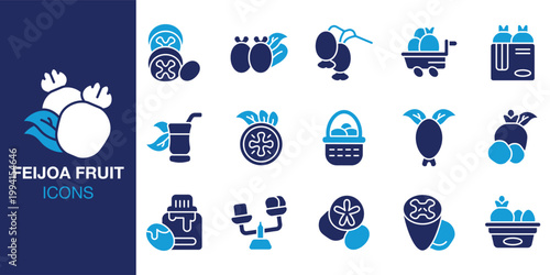 Feijoa Fruit icon set. Containing feijoa, fruit, tropical, food, fresh and more. Solid vector icons collection. Vector illustration.