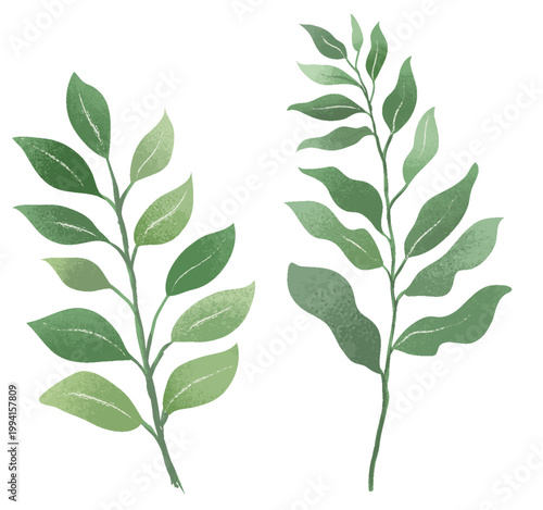 Set of plant leaves for vector decorations
