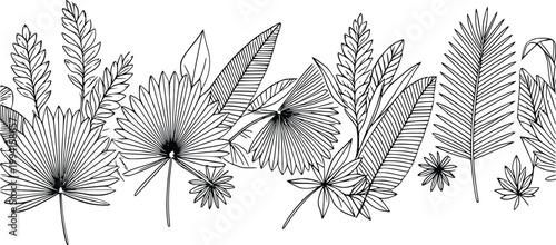 Tropical jungle leaves illustration, exotic foliage vector graphic design, botanical seamless border pattern for summer decoration