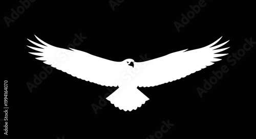A majestic white hawk with outstretched wings soars across a stark black background, symbolizing freedom and power
