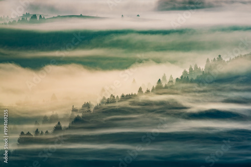 Ethereal fog waves over mountain forest ridges. Unusual layers of drifting fog veil rolling mountain forests, soft golden light and atmospheric depth creating a rare, dreamy natural landscape.