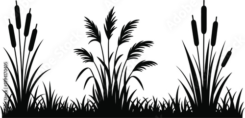 Tableau sur toile Cattail grass, silhouette, black vector of marsh vegetation wild reeds and riverbank plants for nature landscape and ecological design