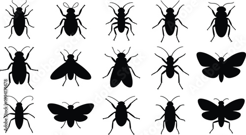 Black insect silhouette vector icon set, fly bug design