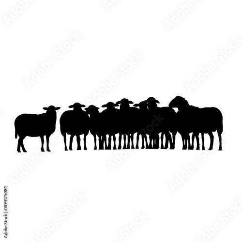 Black sheep herd silhouette vector illustration on white background