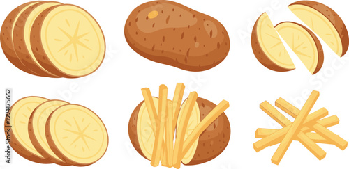 Potato preparation process vector illustration set showing whole potato, sliced pieces, wedges, and french fries in flat food design style