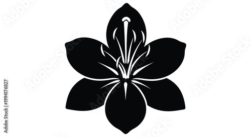 A striking black floral design showcases a six petaled blossom with detailed stamen presented as a silhouette high quality