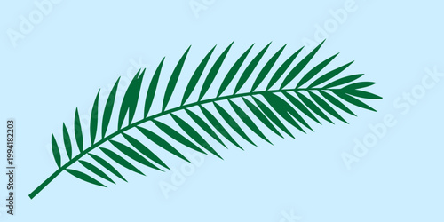 a green palm tree branch on a blue background,