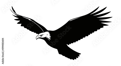 American Bald Eagle in Flight.