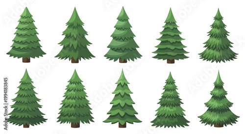 Green Pine Trees in a Row.