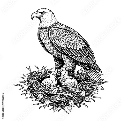 Vector illustration of eagle standing on nest with chicks