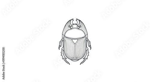 Elegant Scarab Beetle Line Art Illustration, Ancient Egyptian Symbol, Minimalist Design