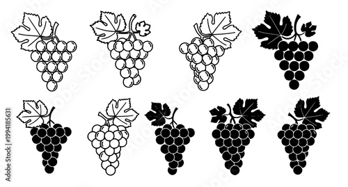 Black and white grape cluster collection a botanical illustration with variations in shape and leaf design