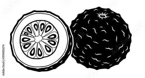 Black sapote illustration a whole fruit and cross section displayed in a minimalist black and white style