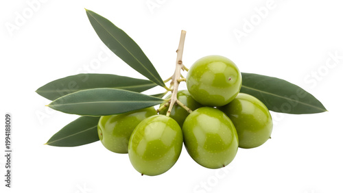 Fresh Green Olives On Branch With Leaves Isolated On White