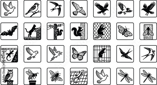 Urban flying animals vector icons set, climbing wildlife black line icons, birds, bats, squirrels, cats, insects, rooftops CAD illustration style