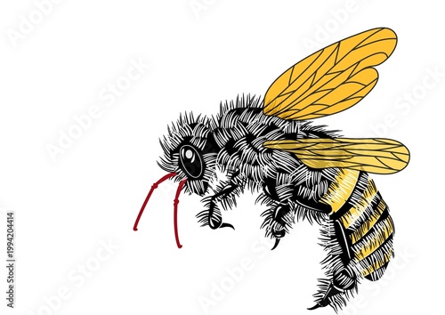 Bee Vector Brushstrokes Illustration Design 