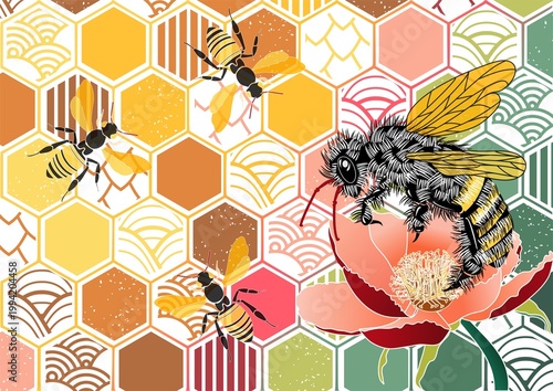 Bee and Hexagonal Patterns Illustration Design