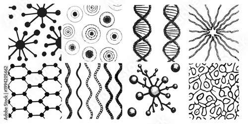 Scientific illustrations of cellular structures and biological patterns