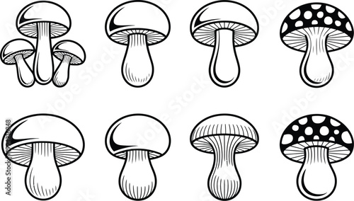 Magic mushroom vector set, hand drawn mushroom illustrations featuring black line contour fungi sketches for natural organic and creative design.