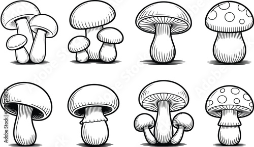 Mushroom vector set, modern sketch style mushroom icons black line fungi collection for cute botanical and nature art design.