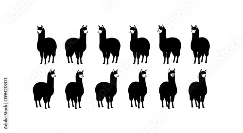 Llamas illustration set with black silhouettes and various poses featuring animals, livestock, South American with herd and icons elements for