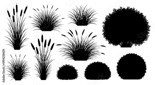 Grass plants botanical silhouette collection with assorted tufts and small rounded clumps for landscape design