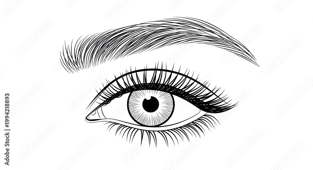 Fototapeta premium Detailed illustration of a human eye with long eyelashes and a perfectly shaped eyebrow