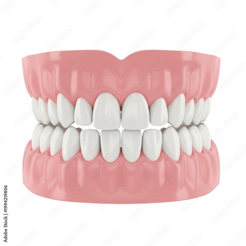 Obraz premium Pearly white child's deciduous teeth and vibrant pink gums, precisely aligned, rendered with glossy texture against a transparent background, dental hygiene and scientific clarity concept