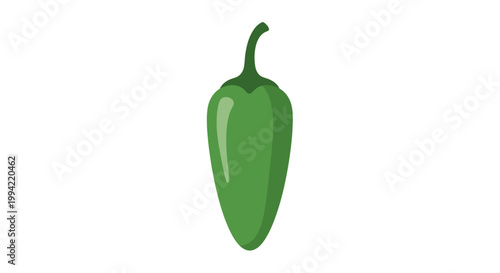 Single Green Jalapeno Pepper Isolated on White Background, Fresh Vegetable