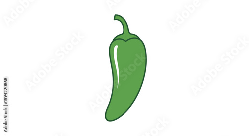 Single Green Jalapeno Pepper Isolated on White Background