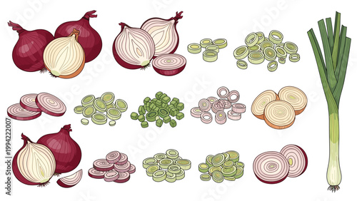Comprehensive collection of different onion varieties including red onions, white onions, leeks, and various chopped slices and rings.