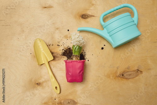 A small blue watering can and a yellow scoop, a hyacinth flower, lying on a wooden table, flat lay composition