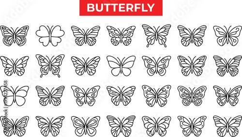 Butterfly line icon collection featuring various wing styles, decorative insects, nature elements and elegant symmetrical outline designs