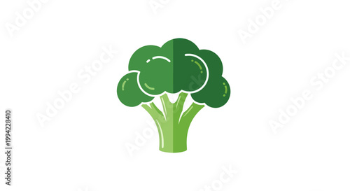 Healthy Green Broccoli Icon Vector Illustration Isolated on White Background