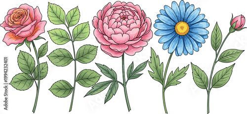 Ballet dancer continuous line drawing in tutu, elegant performance illustration, classical dance concept minimal outline vector design isolated