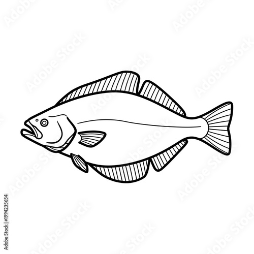 Flatfish halibut line art vector illustration on white background