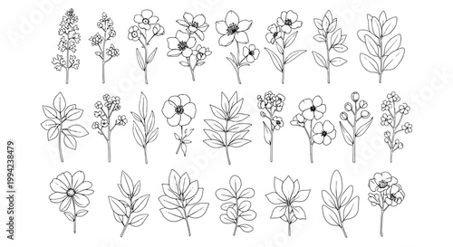 Flower line icons set of doodle blossoms, petals, buds and leaves for botanical branding, patterns and invitations