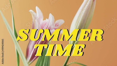 On play bold SUMMER TIME remaining fixed while pink lily bud opening, revealing petals for design