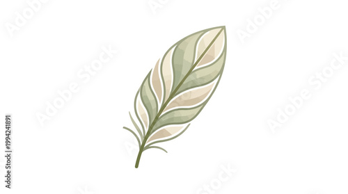 Single green leaf with veins.