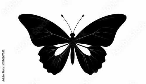 Black butterfly silhouette with white details