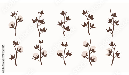 Cotton branch flat vector set with natural plant bolls and leaves collection isolated on white background