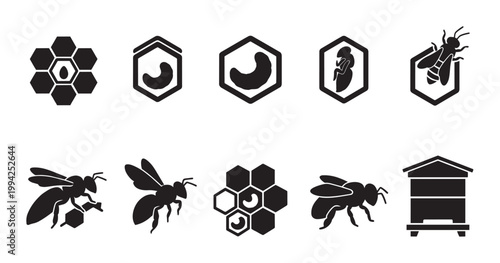 A collection of black and white vector icons featuring bees, honeycomb, hive, and bee life cycle stages, perfect for nature and agriculture themes.