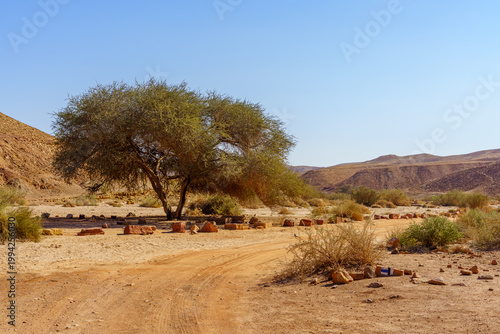 Desert landscape, inside Makhtesh (crater) Ramon